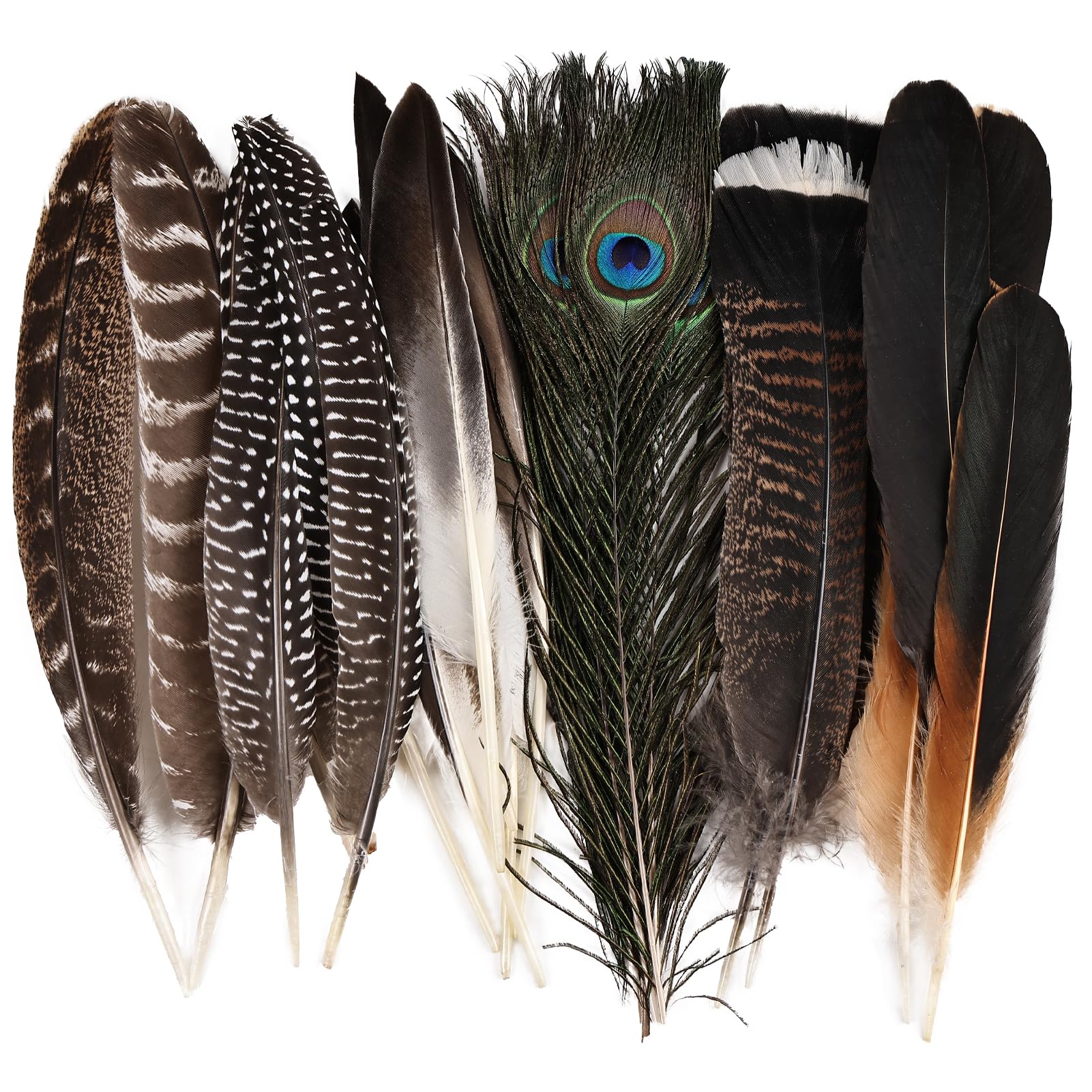 Large Natural Feathers Bulk-35PCS- 6 Styles Assorted Natural Feathers, Peacock Feathers, Pheasant Feathers, Turkey Feathers for DIY Crafts, Wedding,