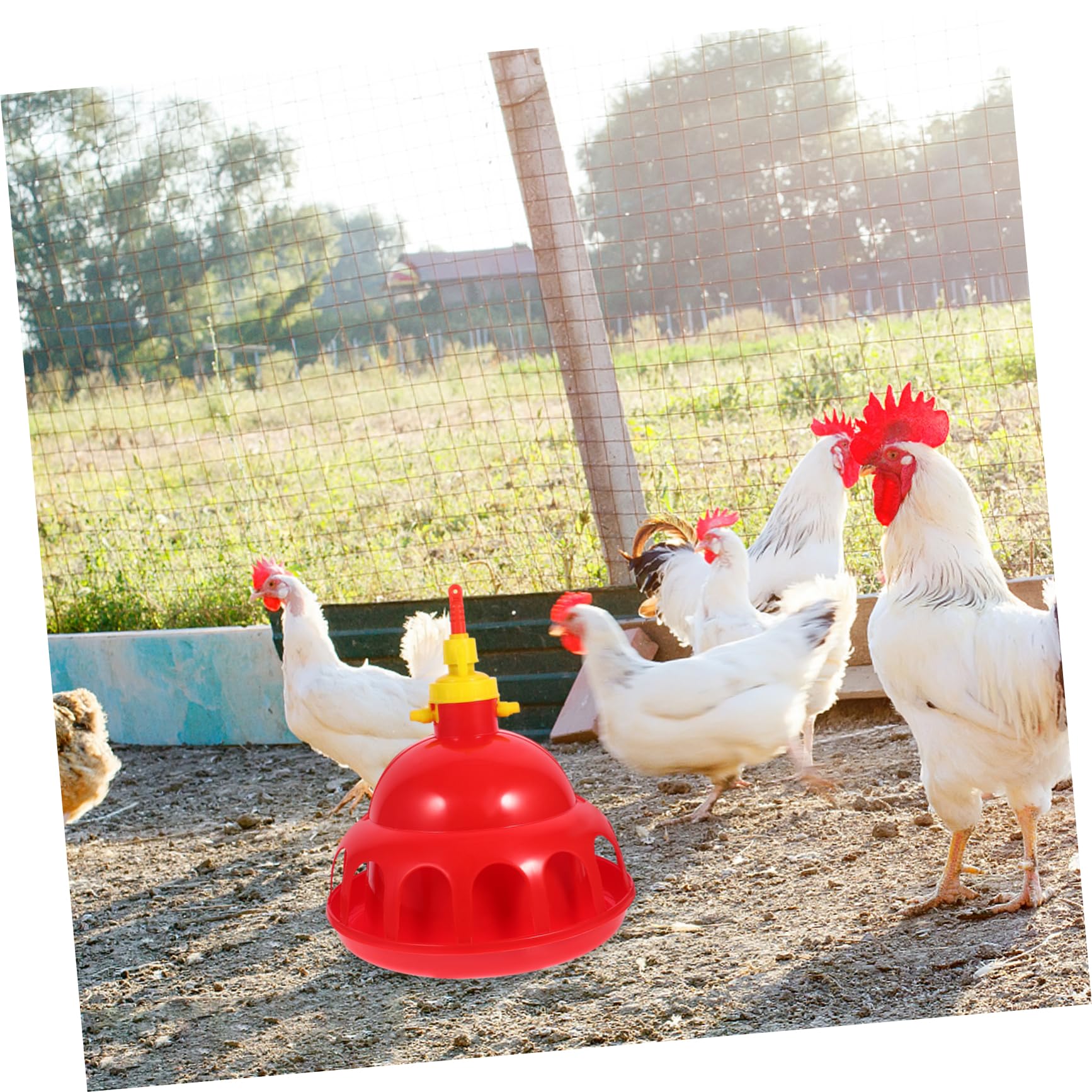 ifundom Bebedero para Mascotas Automático y Espesado para Gallinas y Aves De Corral Fácil De Usar