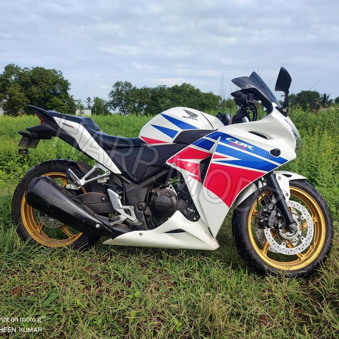 HARP MODZ® CBR 250 Racing UNDERBELLY (Non Painted) : Amazon.in 
