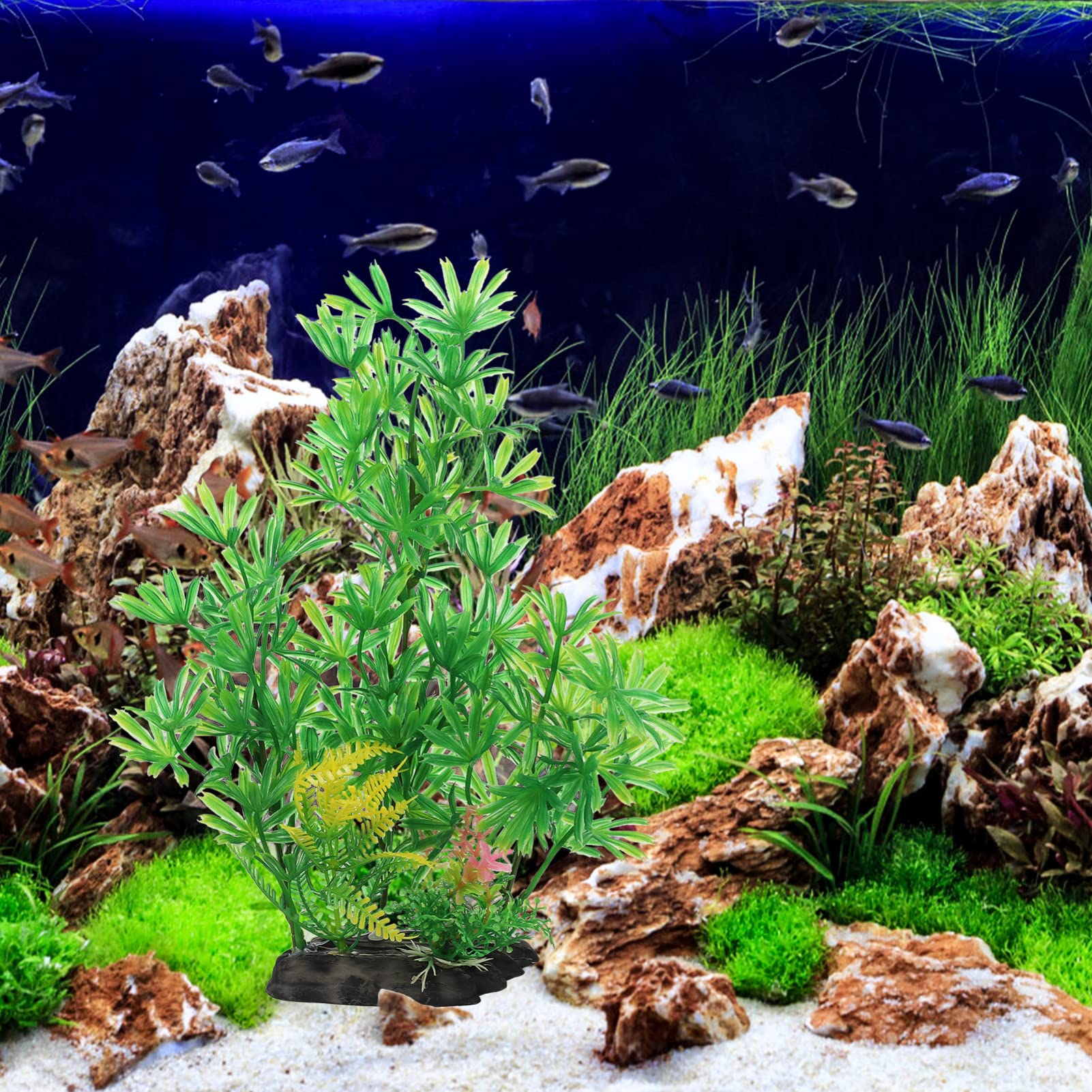 Happyyami 3 Juegos Paisajismo del Acuario Accesorios para Acuarios De Plantas Acuaticas De Agua Dulce Decoración Plantas De Artificiales El Plastico 2 Piezas * 3