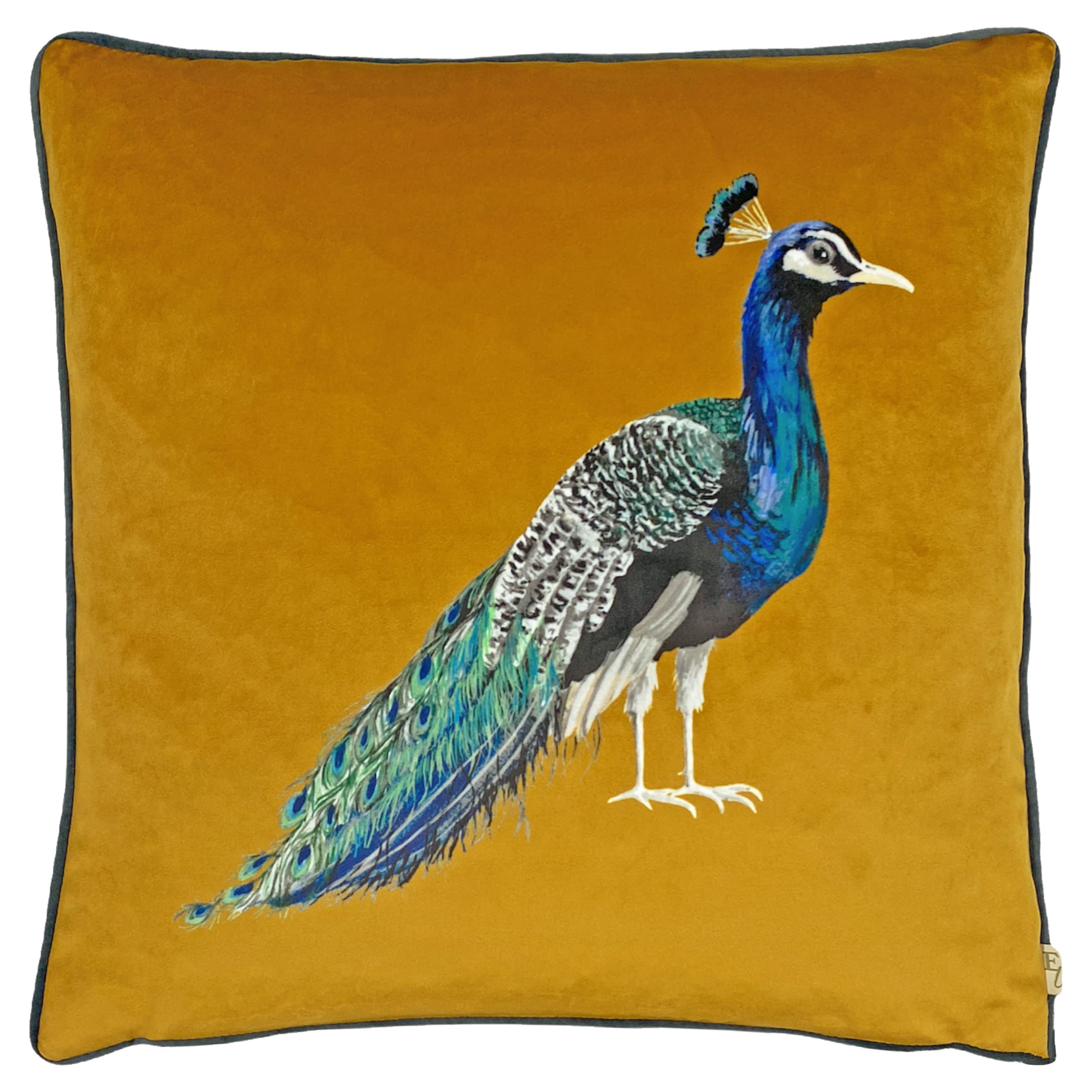 Evans Lichfield Peacock Cushion Cover, Saffron, 43 x 43cm