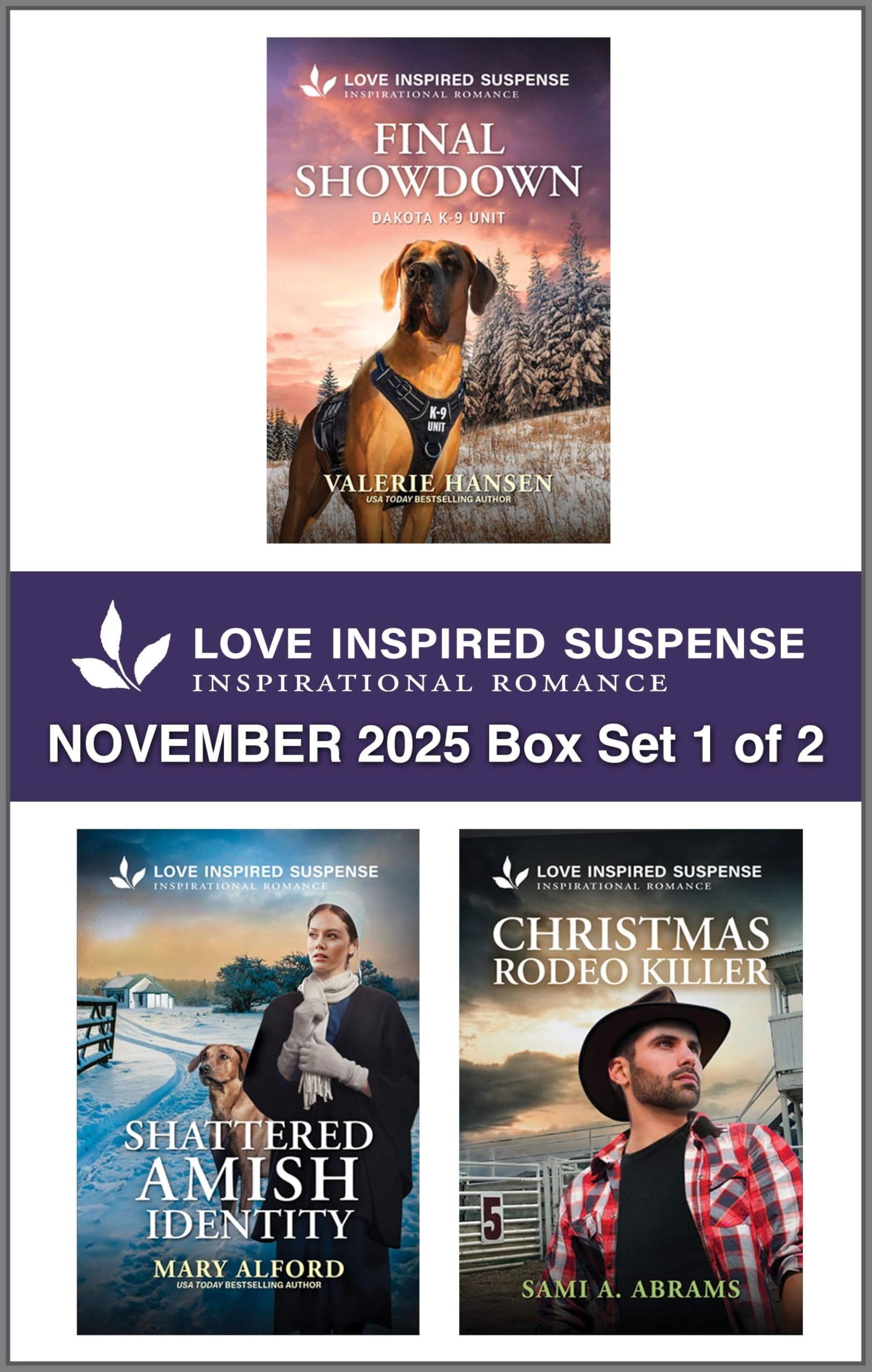 Love Inspired Suspense November 2025 - Box Set 1 of 2
