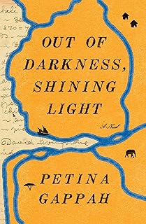 Out of Darkness, Shining Light: A Novel