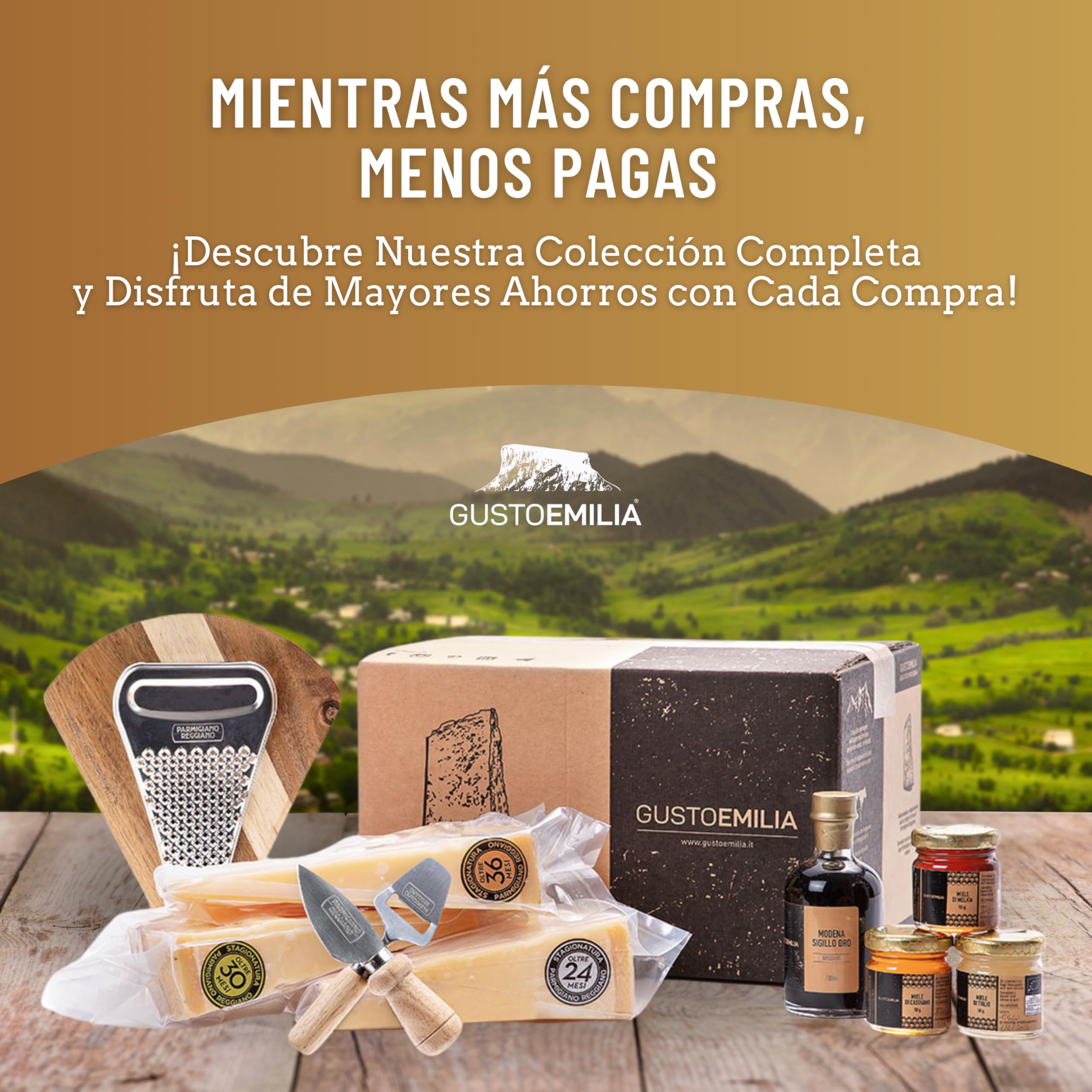 GUSTOEMILIA Vinagre Balsámico Tradicional de Módena IGP, Envejecido 12 Años - Italiano - Maridaje Perfecto con Parmigiano Reggiano - 3.38 Fl Oz (100ml)