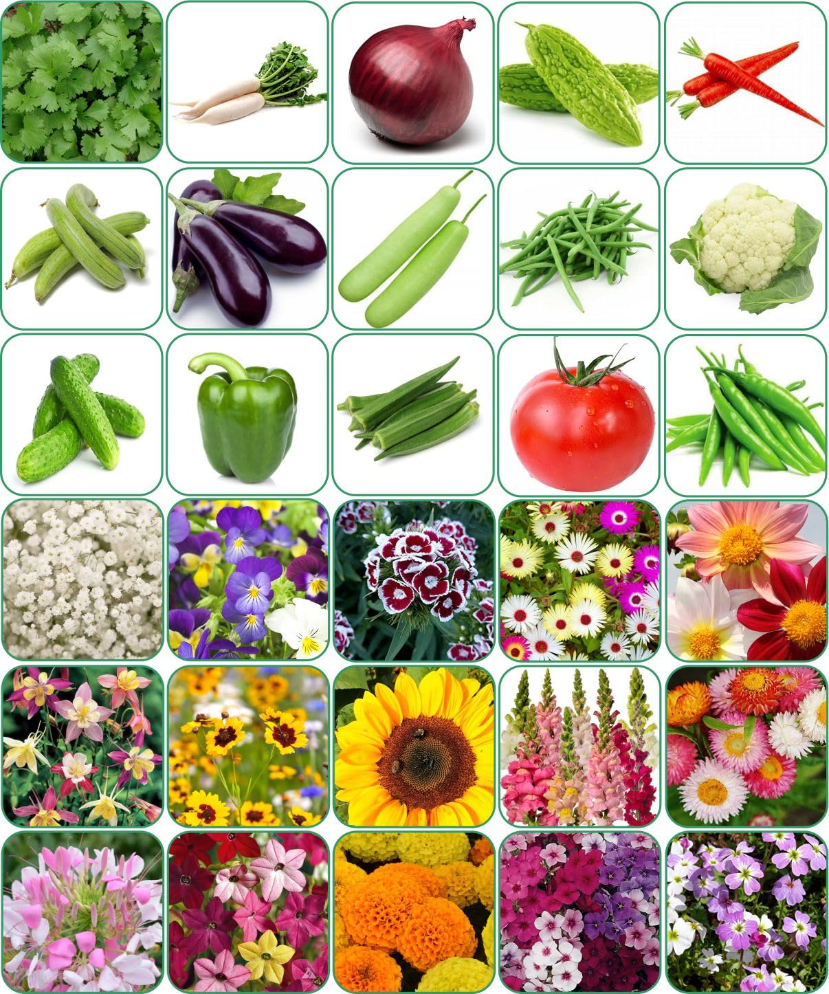 Aero Seeds 30 variety(15 flower and 15 vegetable) seeds combo pack with instruction manual. (B0C7GB4YNT) Amazon Price History, Amazon Price Tracker