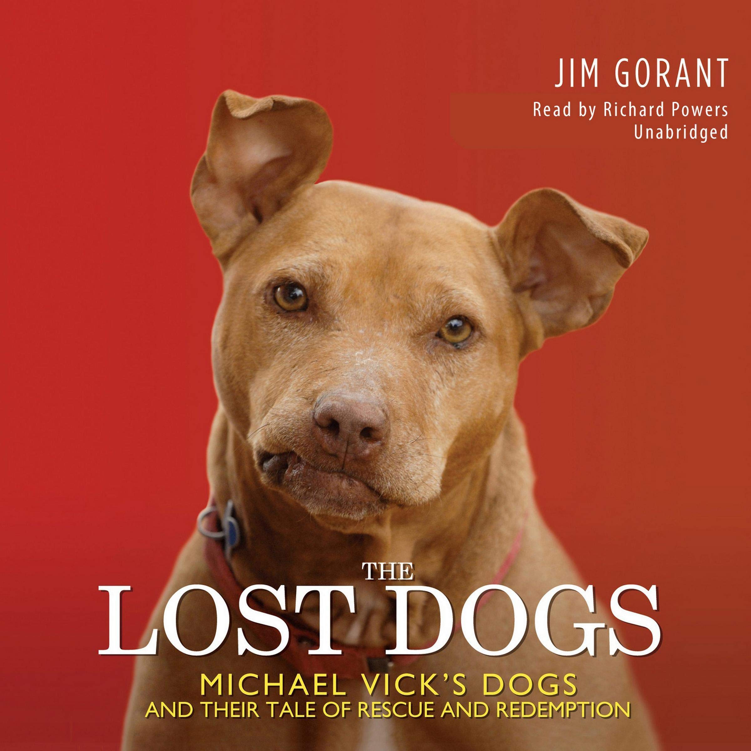 Cover art for The Lost Dogs