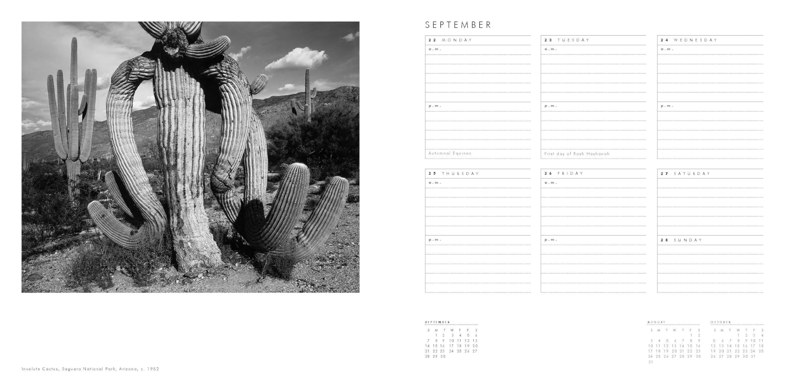 Ansel Adams 2025 Engagement Calendar: Authorized Edition: 12-Month Nature Photography Collection (Weekly Calendar and Planner) - Image 3
