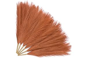Serwalin Pampas Grass, Fall Boho Decor