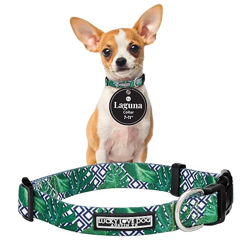 Lucky Love Dog Collar, hermoso y vívido patrón XS Boy Dog Collares