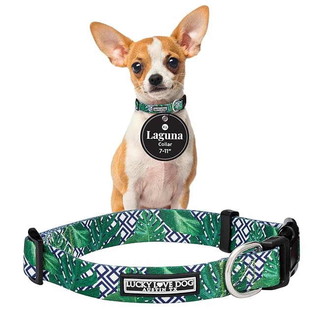 Lucky Love Dog Collar, hermoso y vívido patrón XS Boy Dog Collares