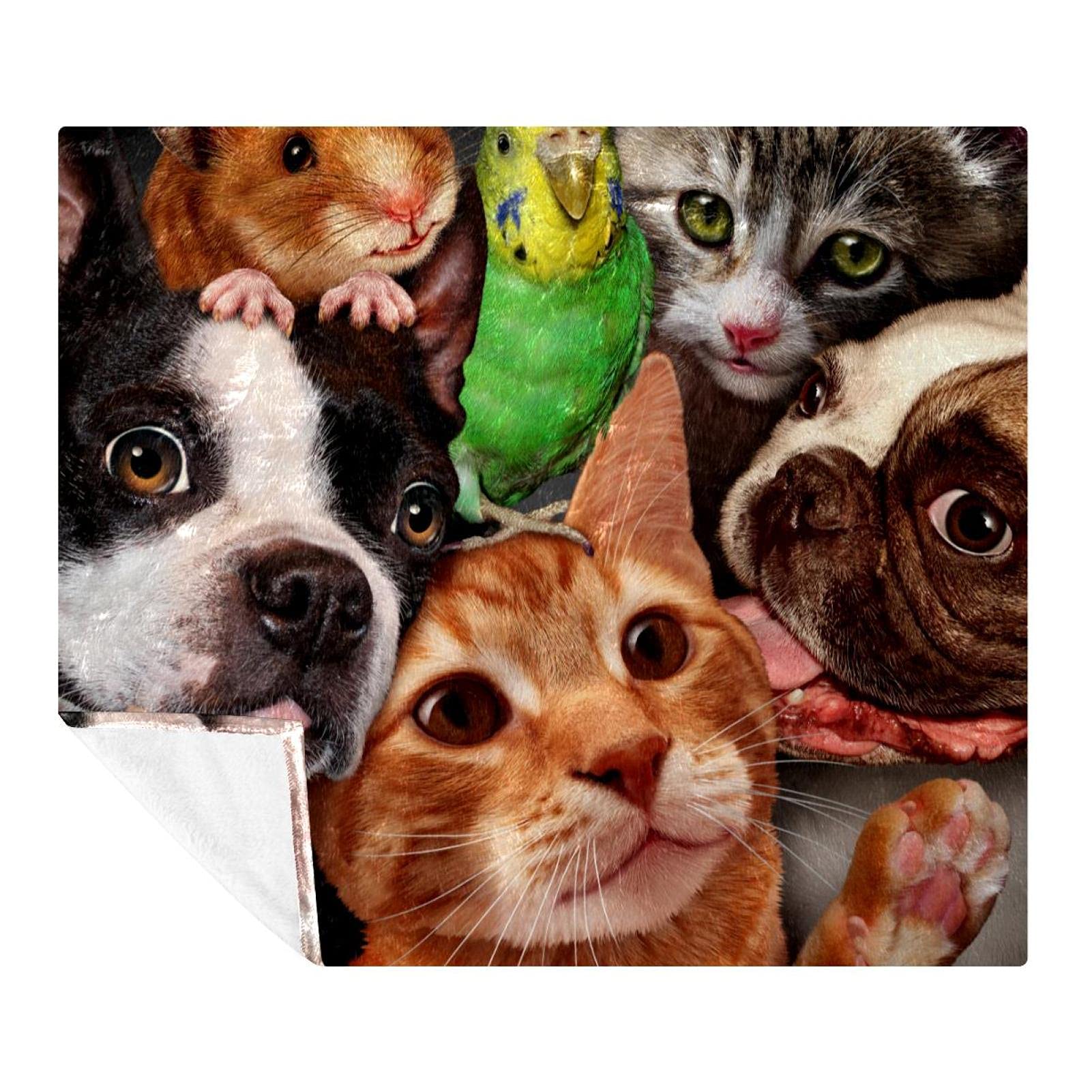 Couverture polaire super douce pour chiens, chats, perruches, rats