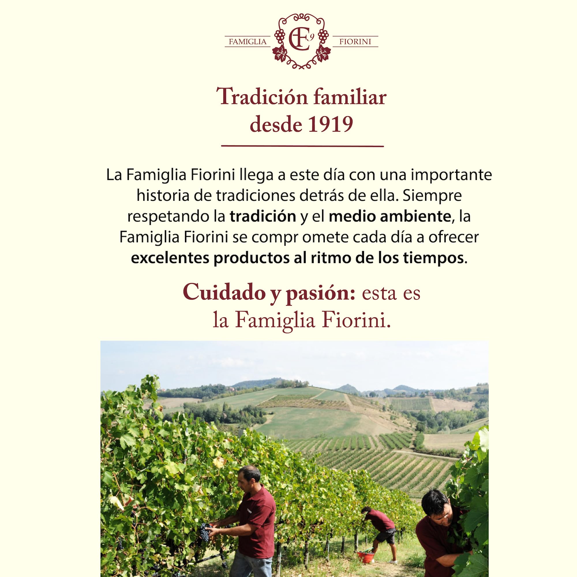 Famiglia Fiorini, Vinagre Balsámico de Módena I.G.P. Envejecido, Vinagre Envejecido durante 3 años en Barrica de Roble, Elaborado con Uvas 100% Italianas, Ideal para Aliñar Ensaladas, 250 ml.