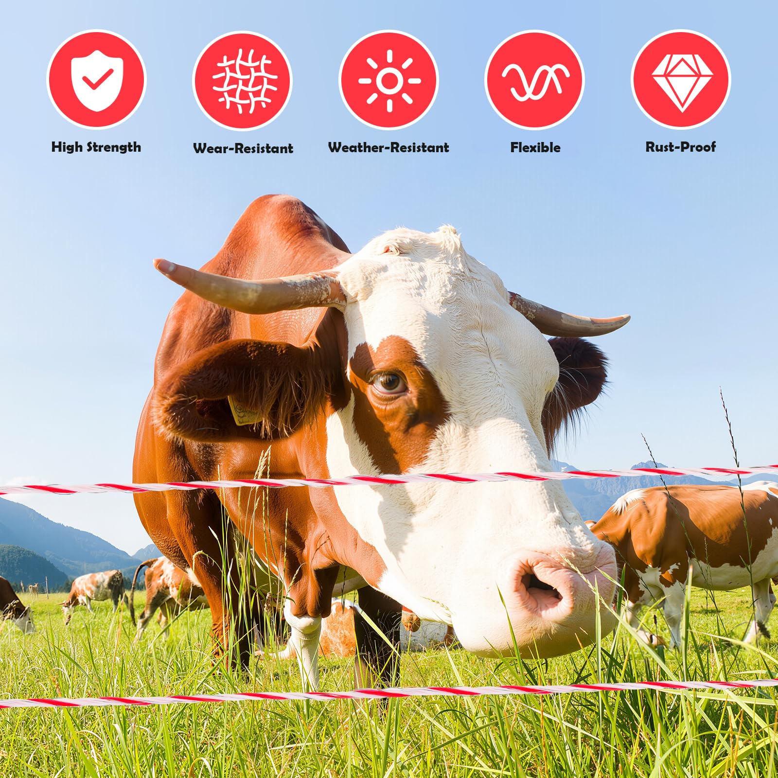Corda per Recinzione 500 m, 2 mm 6 Trefoli Acciaio Inossidabile, Corda Resistente, Alta Conduttività Cavo per Recinzione per Cani, Cavalli, Bovini, Pecore (Bianco-Rosso)