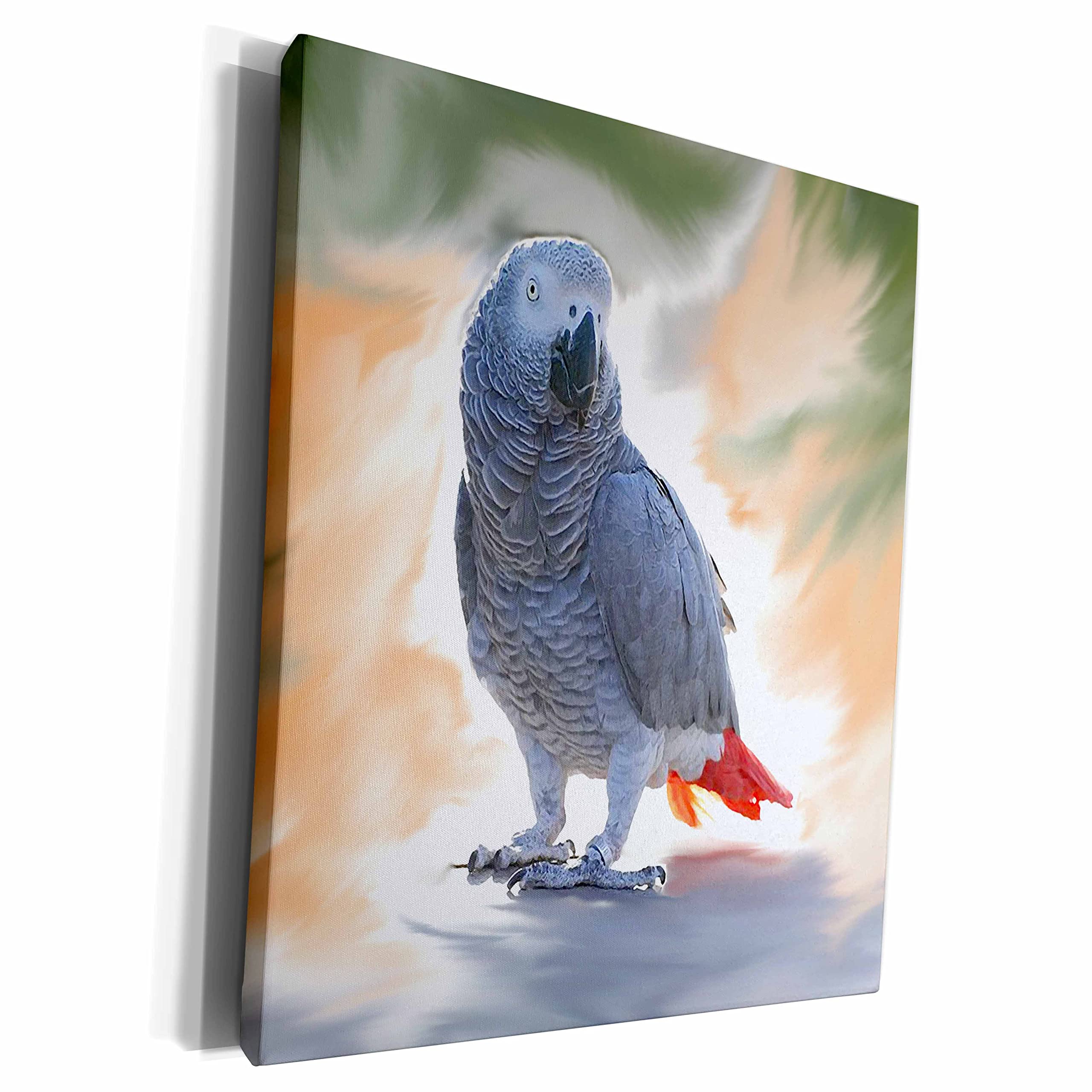 3dRose Museum Grade Canvas Wrap, Grey