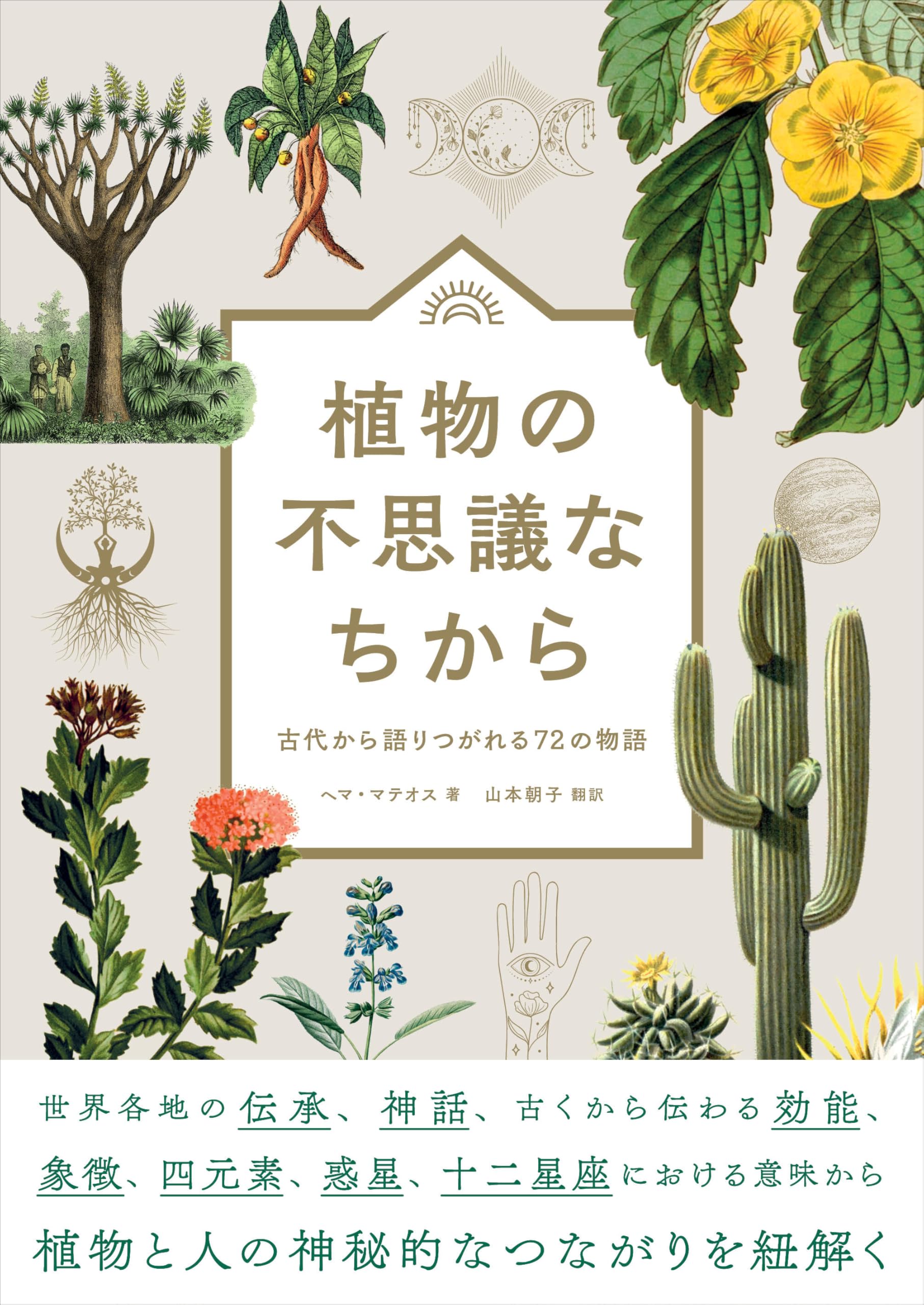 ヘブライ語 植物の本 ヘブライ語 植物の本
