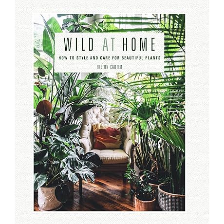 Wild Creations by Hilton Carter: A Guide to Styling and Caring for Beautiful Plants