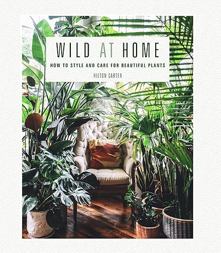 Wild at Home: How to style and care for beautiful