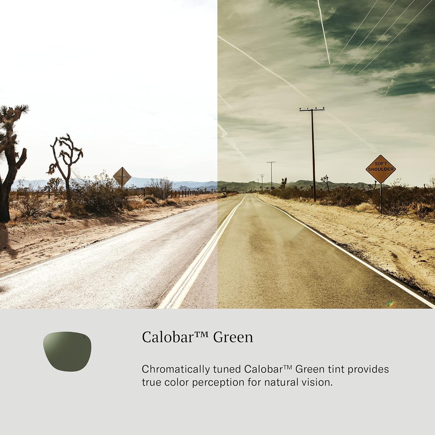 Miniatura 5 de AO Tournament Gafas de sol - AOLite Nylon Lentes