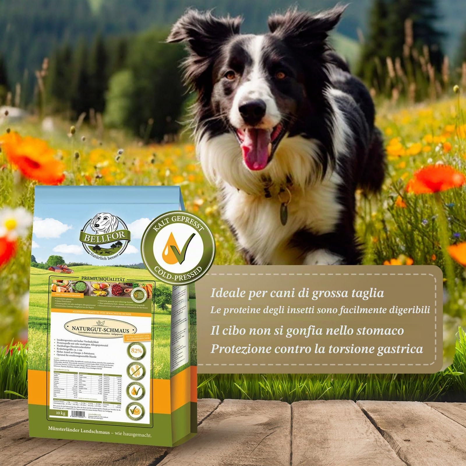 Bellfor Naturgut-Schmaus Cibo secco ipoallergenico di alta qualità spremuto a freddo per cani con insetti Senza cereali Ottimale per cani sensibili dal punto di vista nutrizionale 10 kg