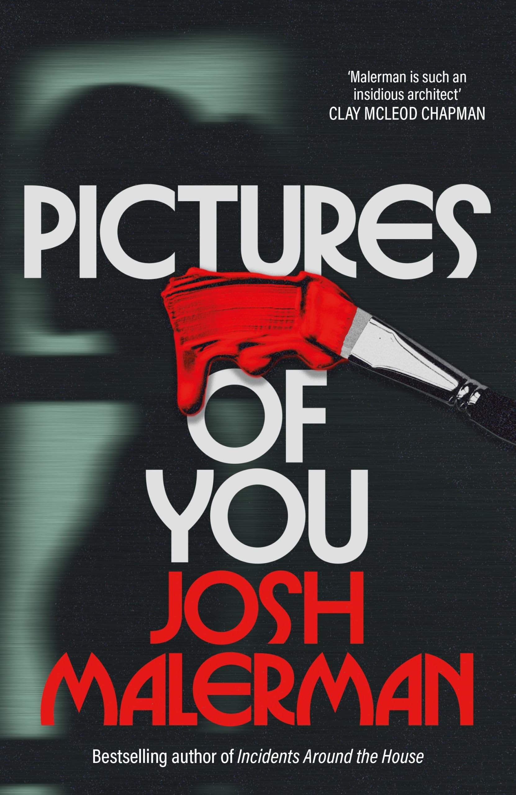 Pictures of You: A chilling psychological nightmare from the author of Bird Box