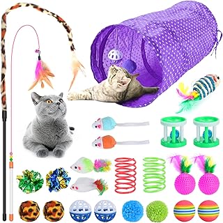Qoosea 24PCS Cat Toys Set Interactive Kitten Toys for Indoor Cats Catnip Toy Kitten Feather Wand Cat Tunnel, Cat Springs, Mice and Bells Toys, Cat Wand Toy for Cat Kitten