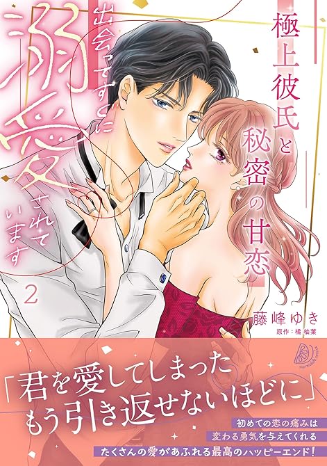 『極上彼氏と秘密の甘恋～出会ってすぐに溺愛されています～ ２』の表紙イラスト 電子書籍 漫画