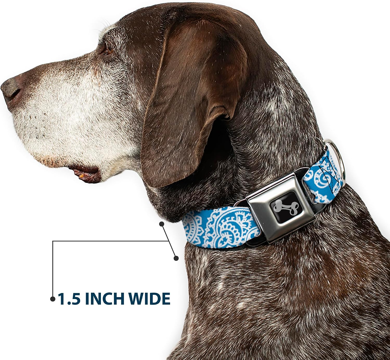 Buckle-Down Dog Collar Seatbelt Buckle Bandana Skulls Baby Blue White 9 to 15 Inches 1.0 Inch Wide, Multicolor (DC-W30202-S)