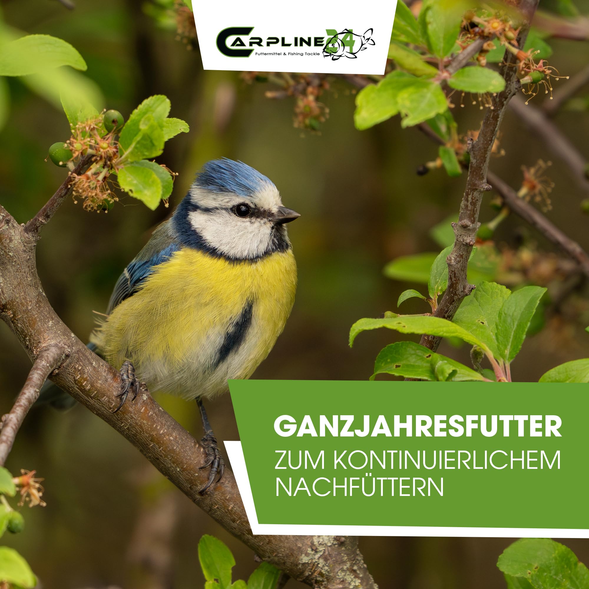 Meisenknödel mit Netz 100 Stück - Vogelfutter für Wildvögel - 9 Kg Wildvogelfutter