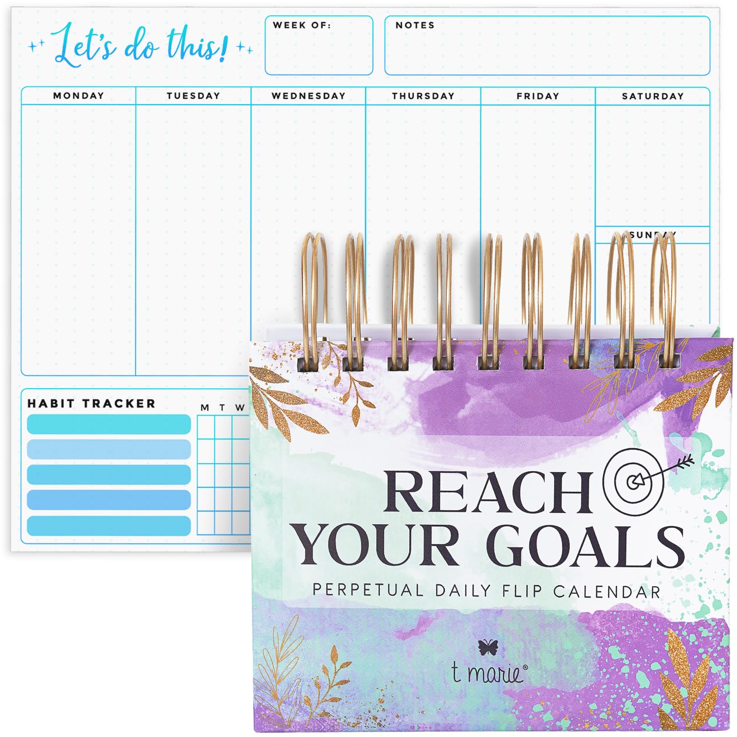 Amazon.com : Reach Your Goals Daily Desk Calendar and Weekly Planner - Ideal  Gift to Track Tasks, Productivity, Habits, and Stay Motivated with Positive  Affirmations for Women, 2023-2024 Perpetual Calendar : Office Products