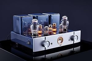 WillSenton R800i Tube Amplifier: Hear the Music, Feel the Soul