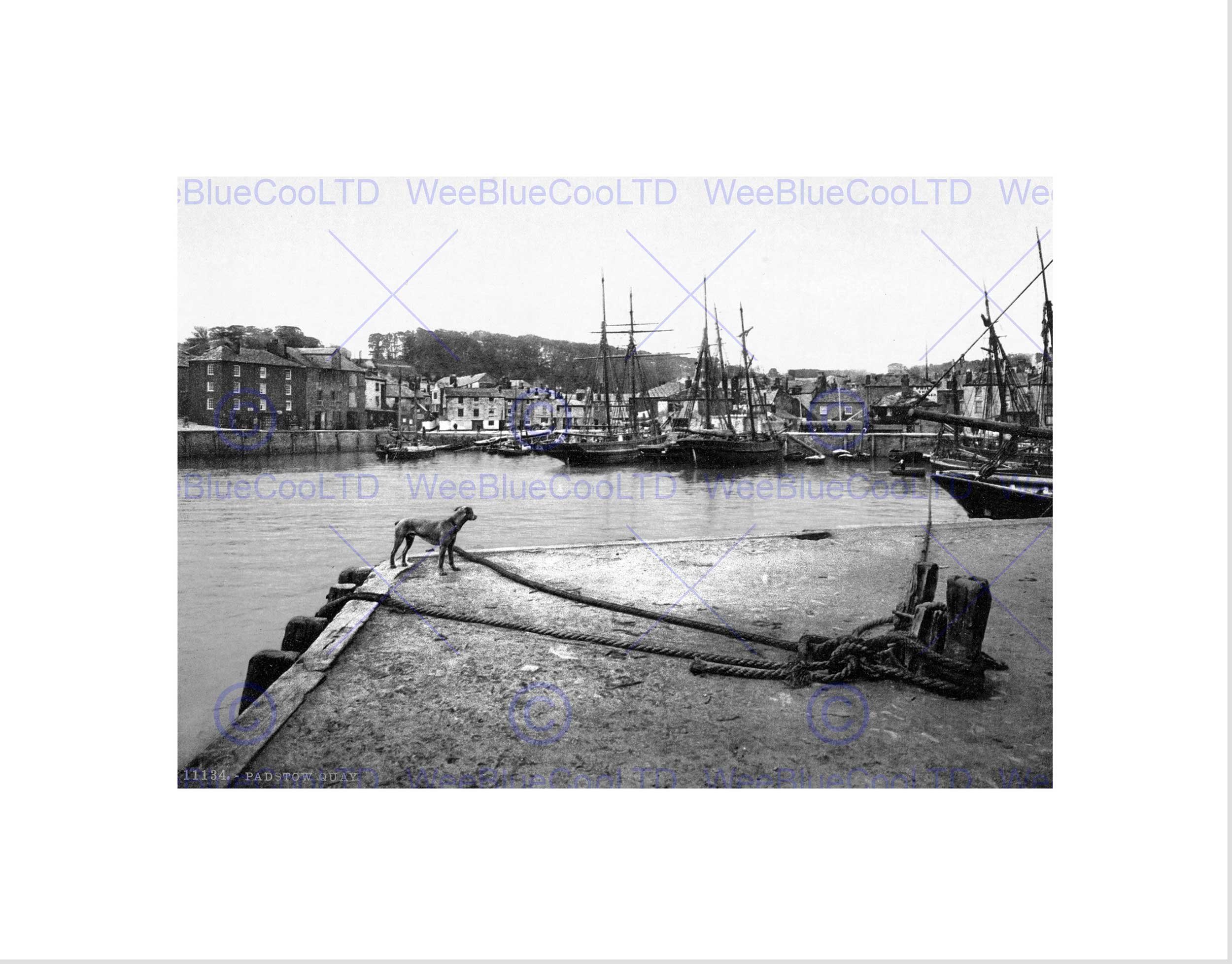 Wee Blue Coo Padstow Quay Cornwall England Vintage History Old BW Wall Art Print