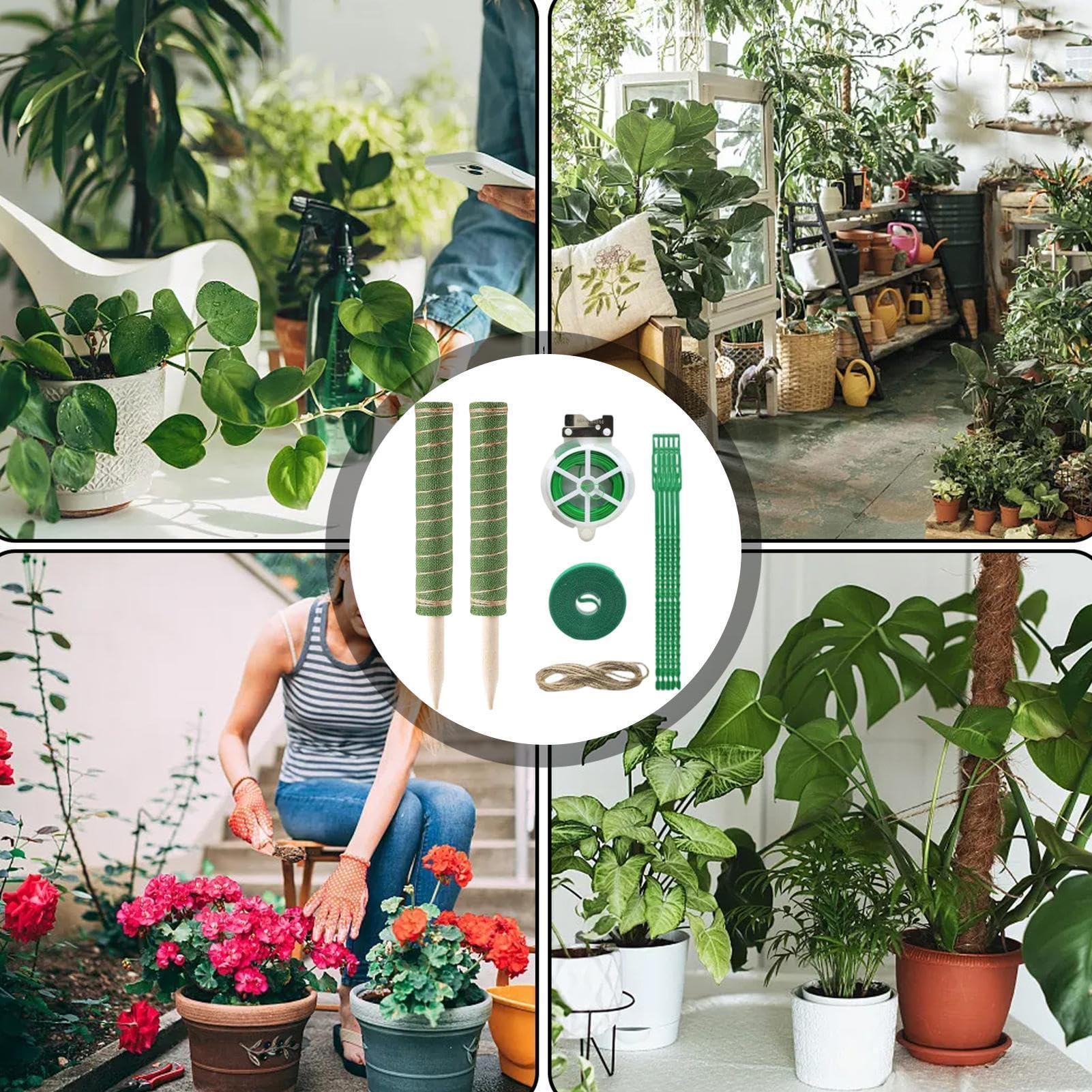 Tuteur pour Monstera Outil de jardinage réutilisable à absorption d'eau | Tuteurs de Support pour s Adapté à l'Intérieur et l'Extérieur Pothos Philodendron Pot Jardinière Balcon Terrasse Jardin
