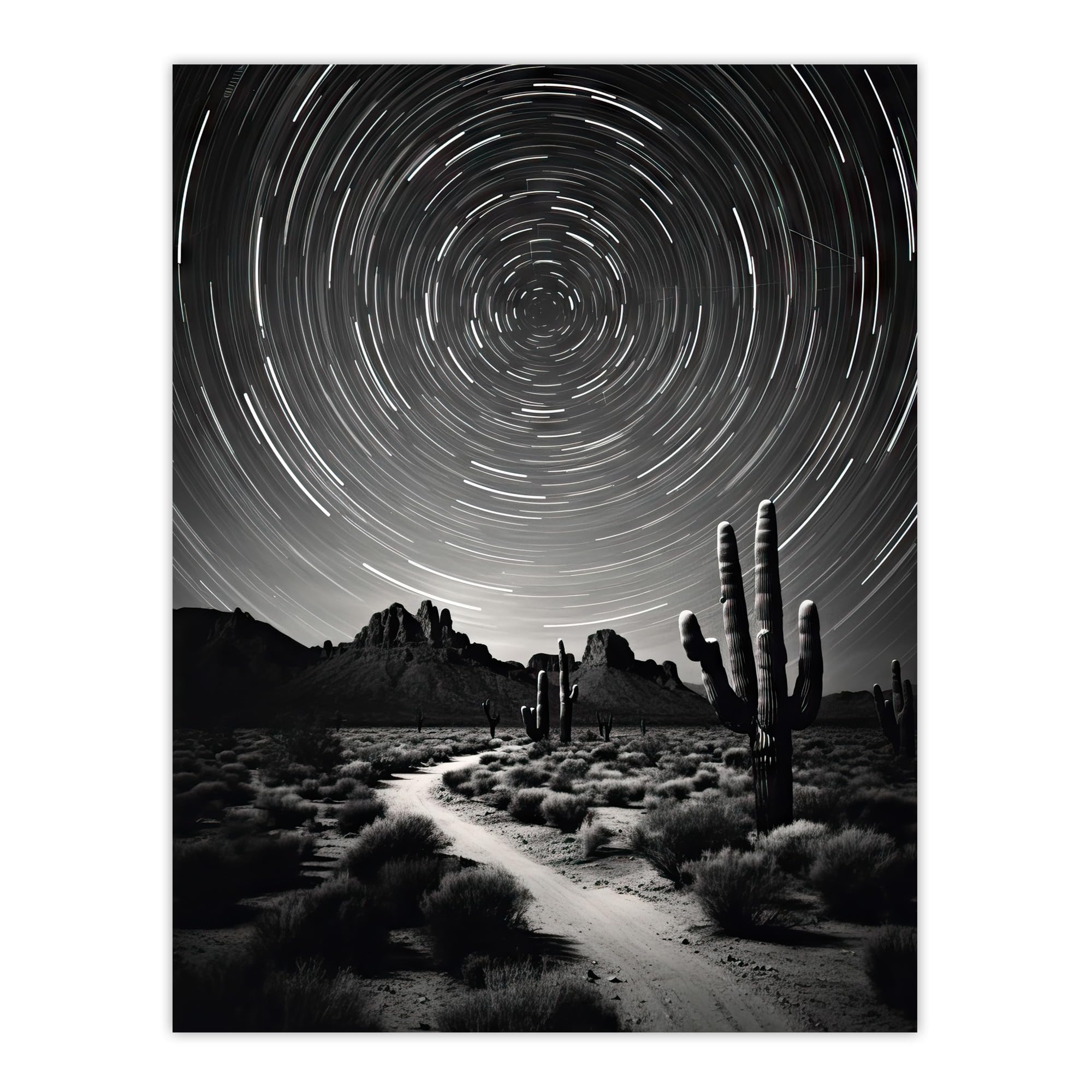 Artery8 Moon And Star Time Lapse Trails Stars Tracing Their Journey Across The Sky Desert Cactus Extra Large XL Wall Art Poster Print