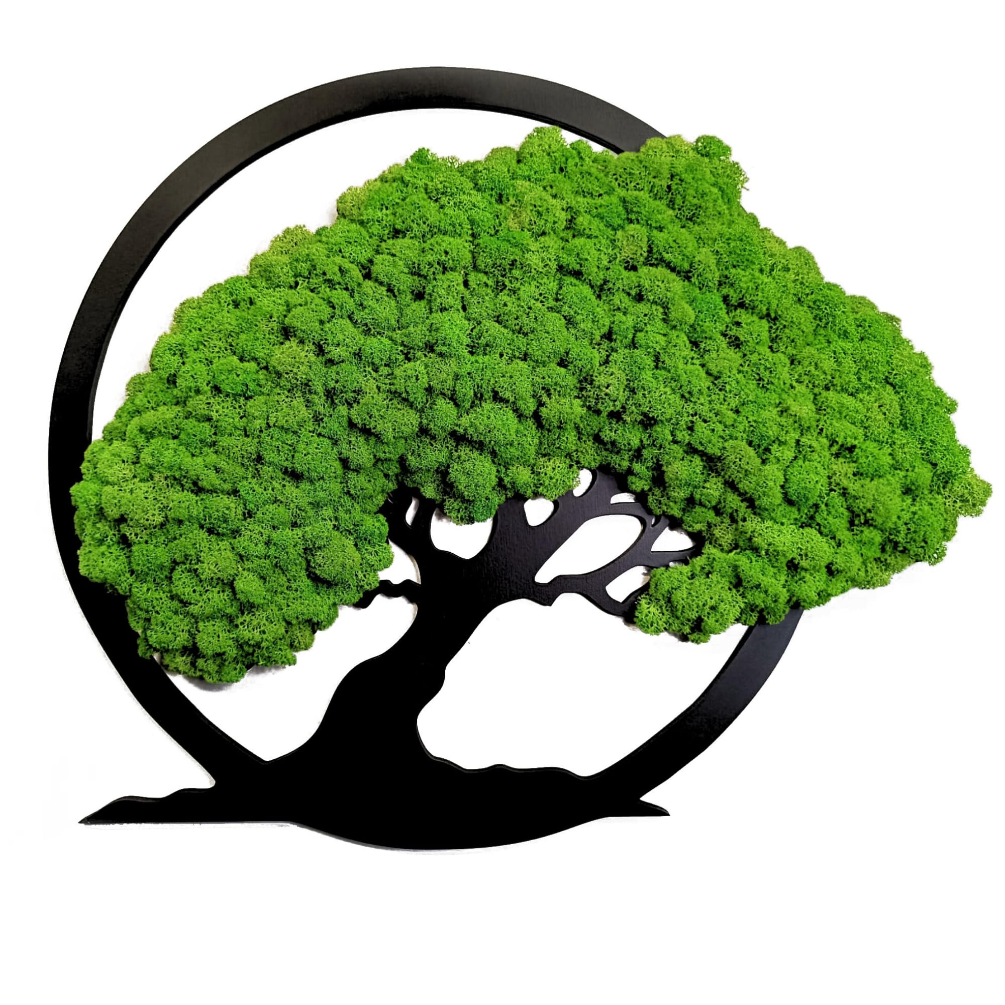 Scandinavian Moss Imágenes de musgo en forma de árbol, hermoso árbol de pared, trae vida a tu vivienda, mural de materias primas naturales y musgo decorativo, 50 cm
