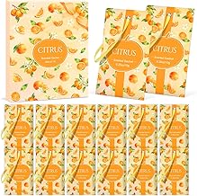 SCENTORINI Scented Sachets Wardrobe Fragrance Pack of 14 Citrus Scented Sachets for Drawers, Cupboards, Eliminating Odors