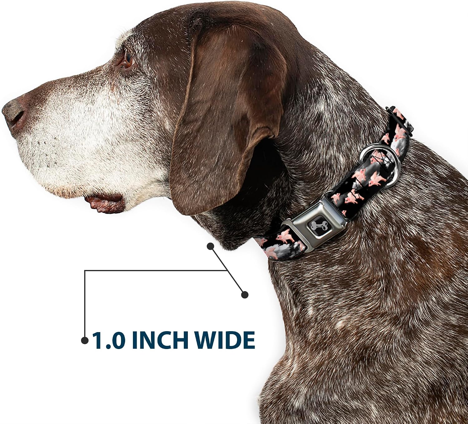 Buckle-Down Seatbelt Buckle Dog Collar - Flying Pigs Black/White/Pink - 1" Wide - Fits 9-15" Neck - Small
