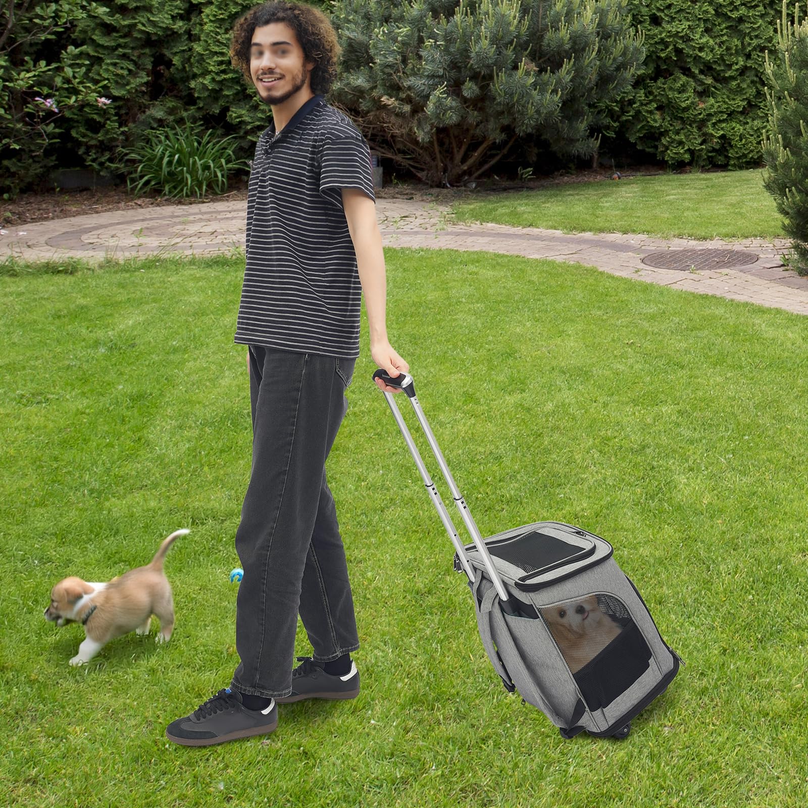 Transporttasche für Katze mit Rollen Hundetragetasche 45 * 33 * 14 cm hundewagen bis 9 kg Katze und 7,5 kg Hund katzenwagen (Grau)
