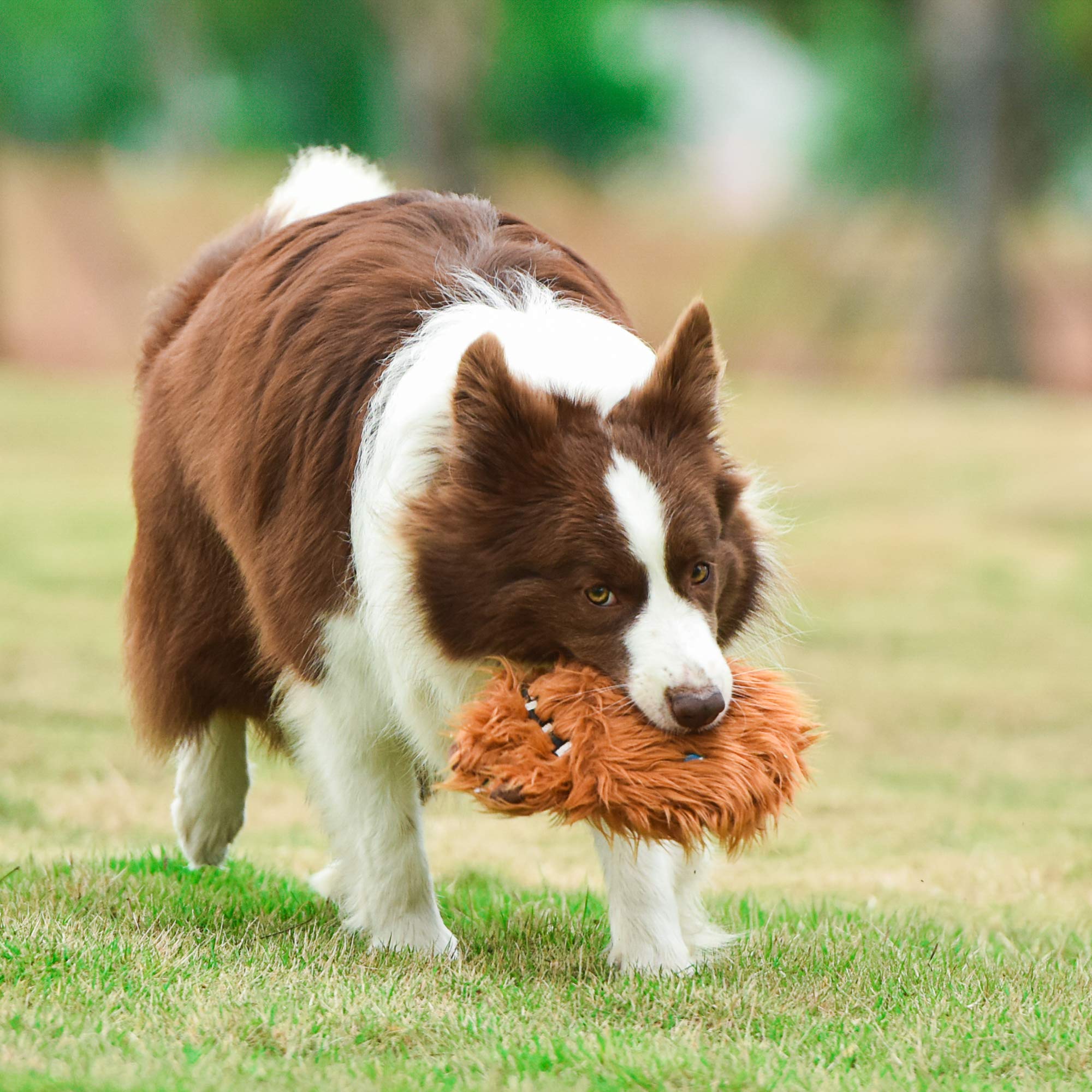 LYINBO - Pelotas de Goma para Perros