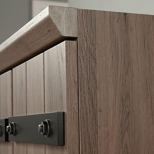 Miniatura 9 de Sauder HomePlus - Armario de almacenamiento de 2 puertas con acabado de roble salado