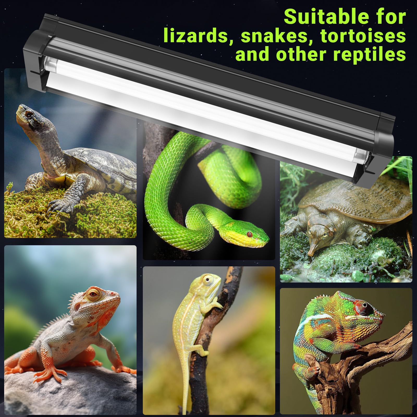 Kit de reptiles ligeros T5 UVB de 8 W, 10 % UVB y 30 % UVA para reptiles tropicales del desierto, accesorio de alto rendimiento de 31,5 cm con tubo T5 10,0 UVB para dragón barbudo, lagarto