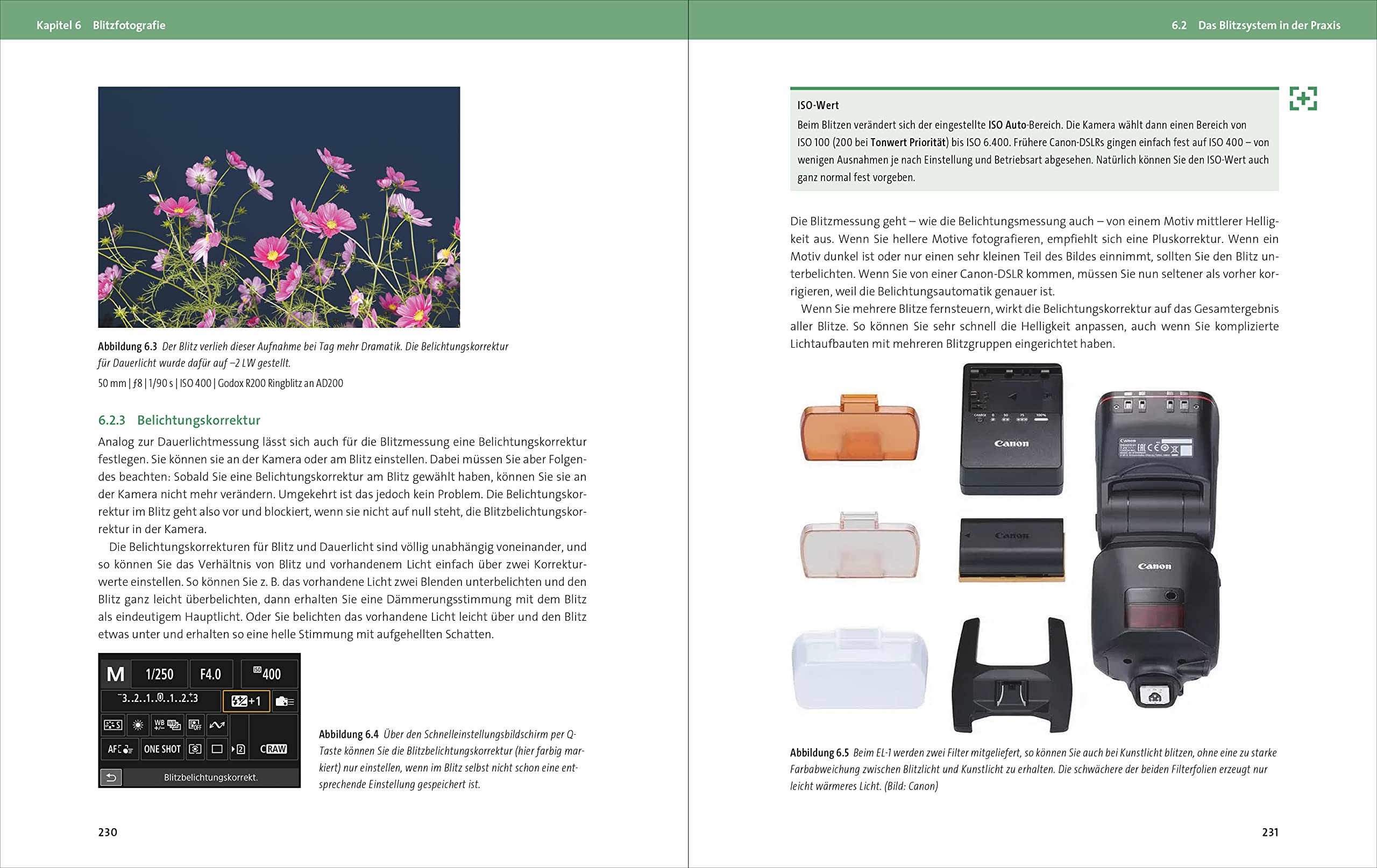 Canon EOS R6 Mark II: Das Handbuch zur Kamera. Besser fotografieren und filmen mit der spiegellosen Vollformat-Kamera