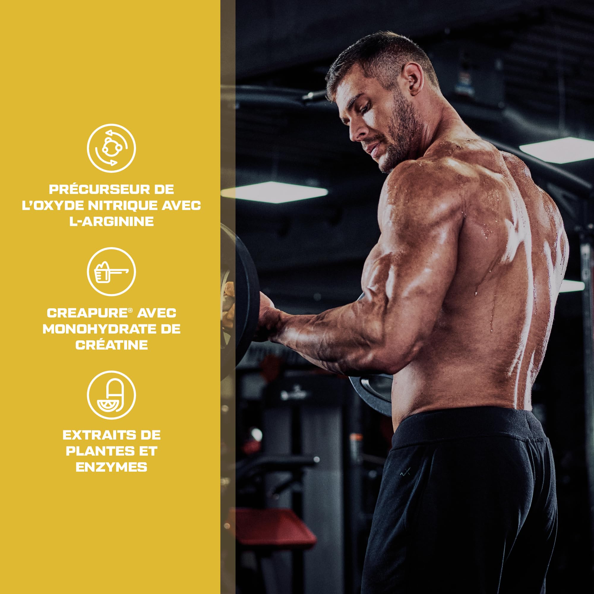 Scitec Nutrition MyoMax Hardcore, supplément de poids avec matrice de protéines, acides aminés, hydrates de carbone et nutriments vitaux, 2800 g, Chocolat