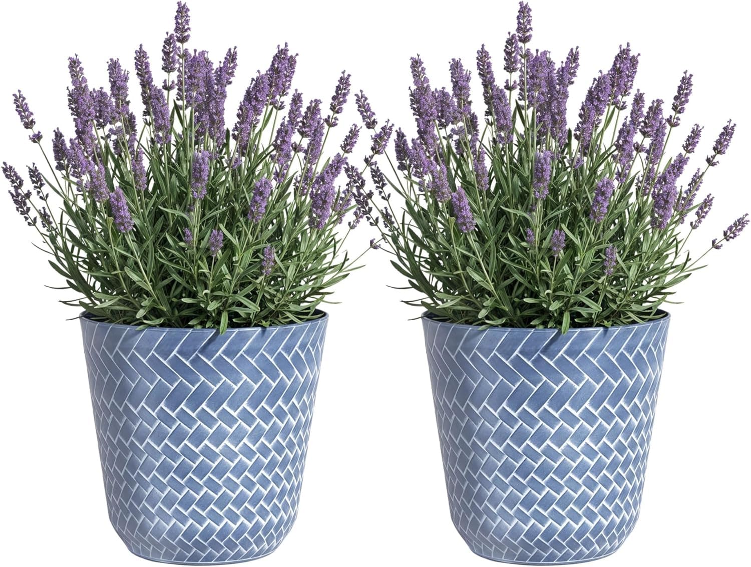 SG Traders Nantucket Plant Pot - Flower Planters Outdoor, Large Garden Pots Elegant Design, Versatile for Your Outdoor Space, Enhance Your Garden (Pack of 2)
