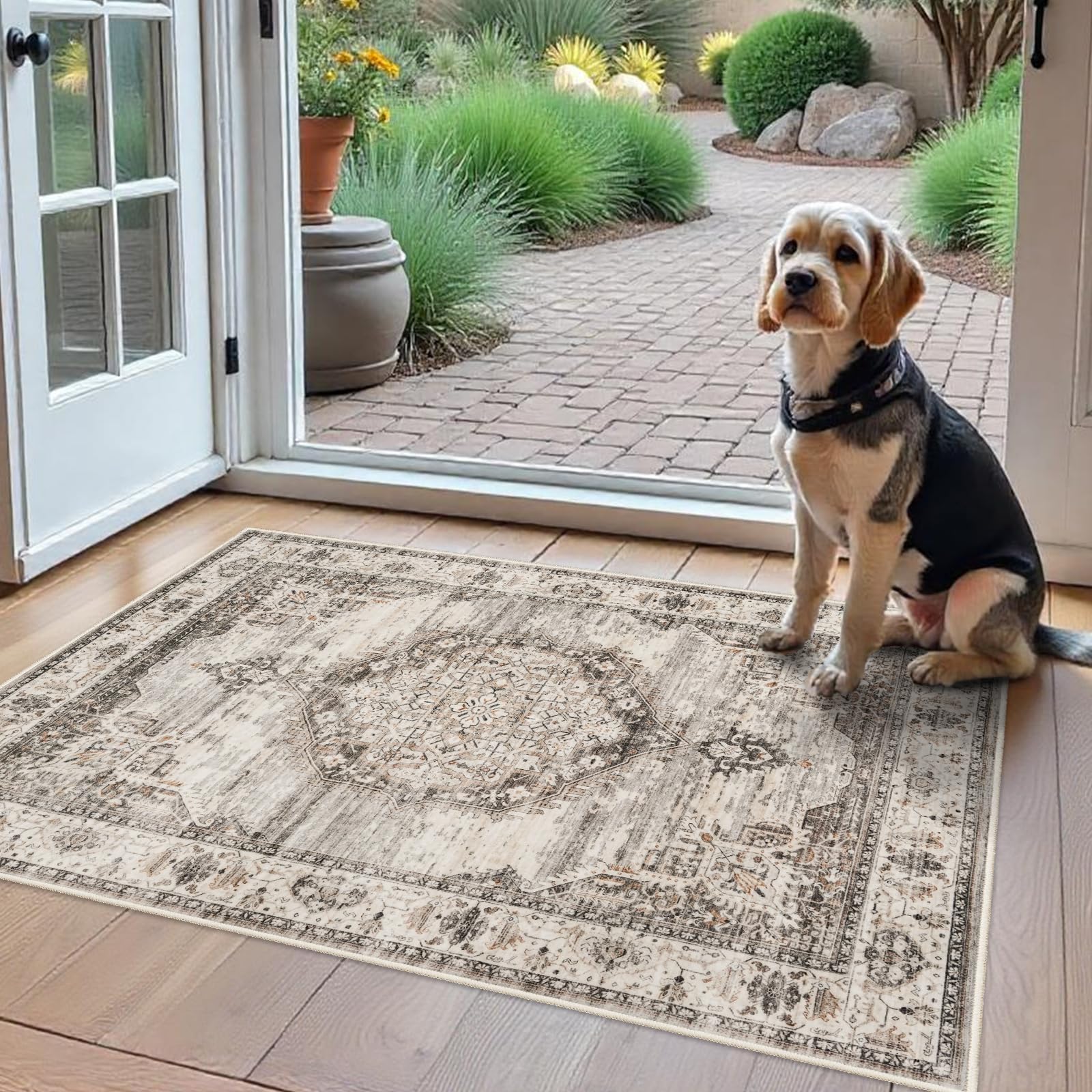 Amazon.com: Washable Area Rugs 2x3 Entryway: Soft Ultra Thin Low