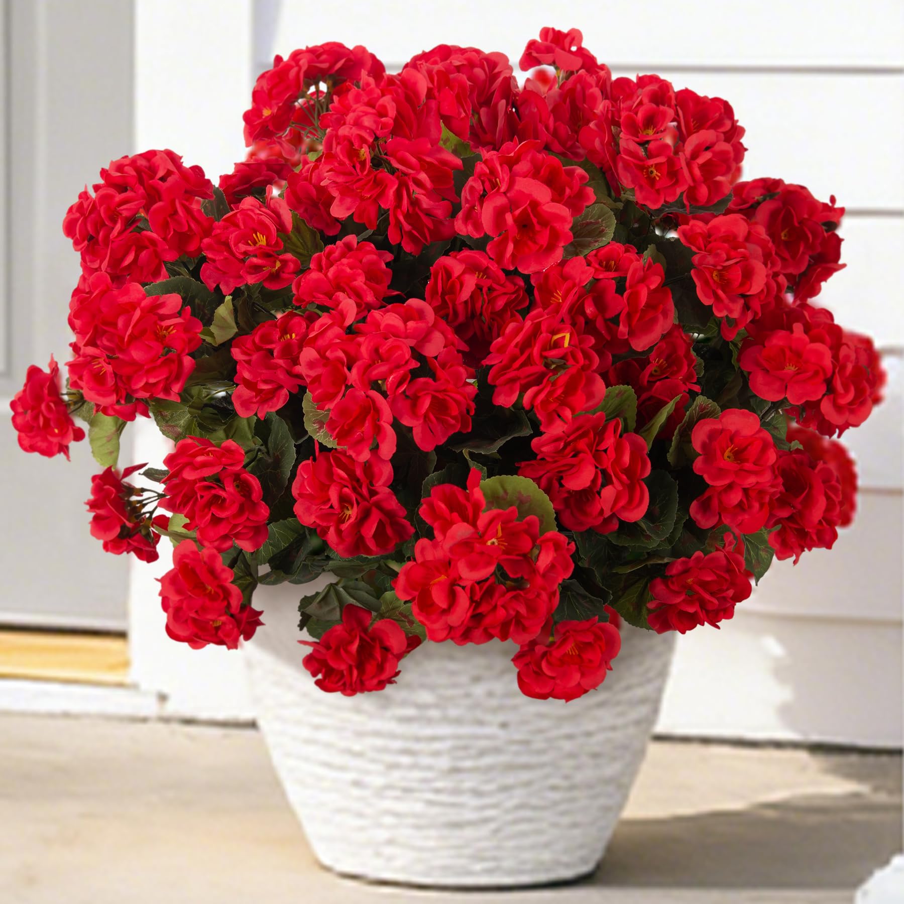 Ammyoo Artificial Geranium Flowers