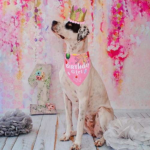 Miniatura 2 de ADOGGYGO Bandana de cumpleaños para perro, conjunto de sombrero para perro, cachorro, suministros para fiesta de cumpleaños, bandana para perro,