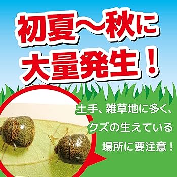 Amazon | カメムシキンチョール 駆除 忌避 ニオイ対策 スプレー