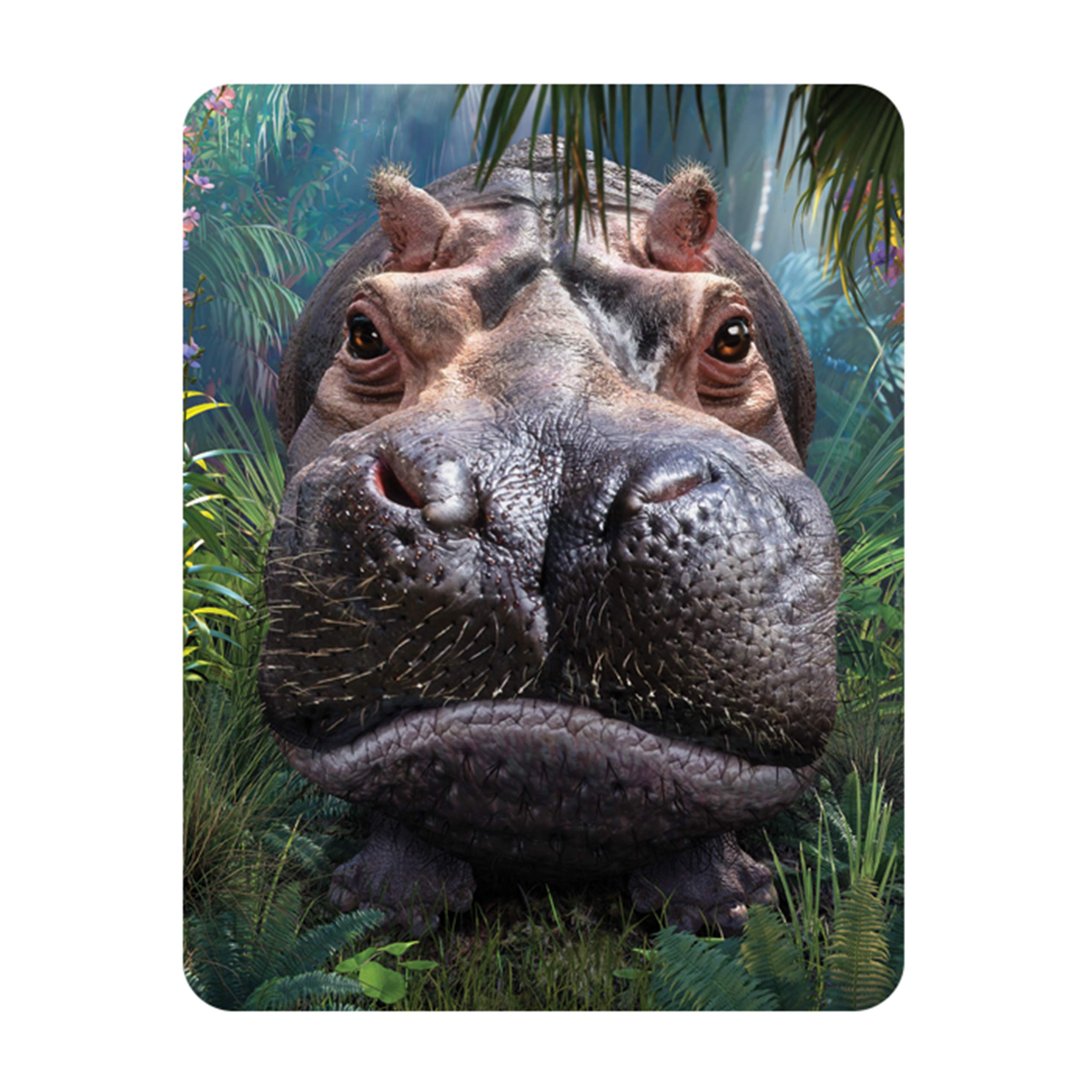 Magnet - Close Encounter from Deluxebase. Lenticular 3D Hippo Fridge Magnet. Magnetic Decor for Kids and Adults with Artwork Licensed from Renowned Artist, David Penfound