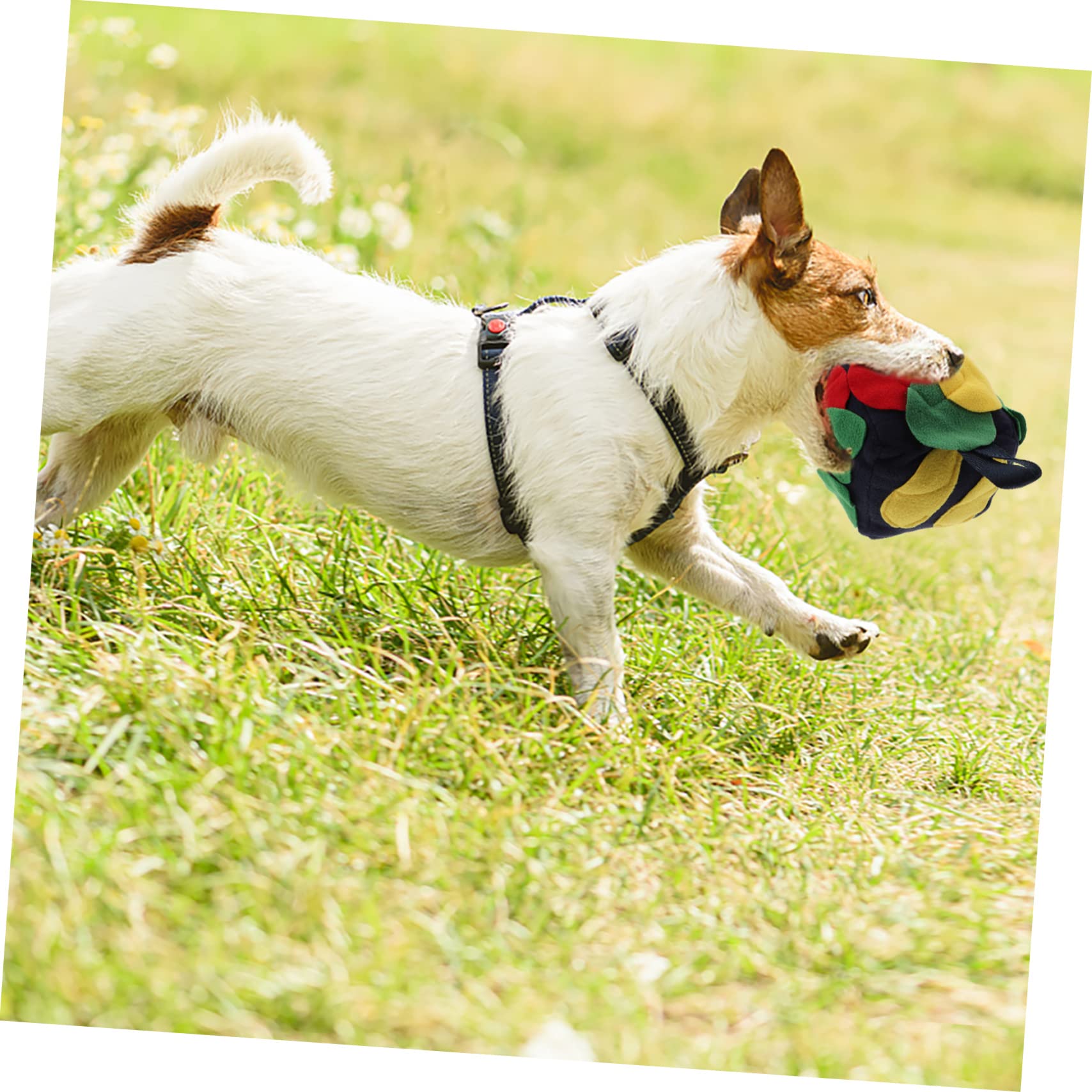 FRCOLOR 2stücke Interaktiver Schnüffelball Für Hunde Futtersnüffelspielzeug Mit Leckereien Langlebig Und Farbenfroh Für Kleine Und Mittelgroße Hunde Fördert Das Fressen Intelligenz