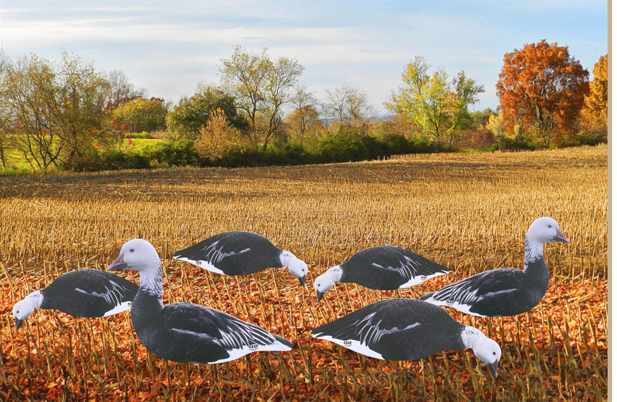 SnowDown Decoys Blue Goose Silhouette Decoys with Metal Stakes. Real Image Blue Goose Silhouette decoys 12 Pack.